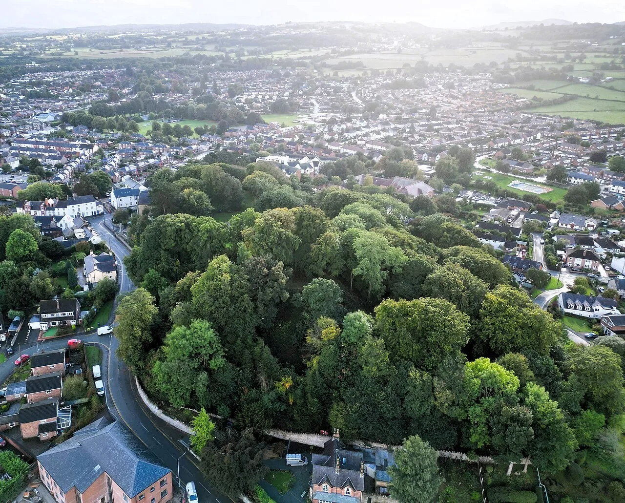 Trees and earthworks at Bailey Hill in Mold