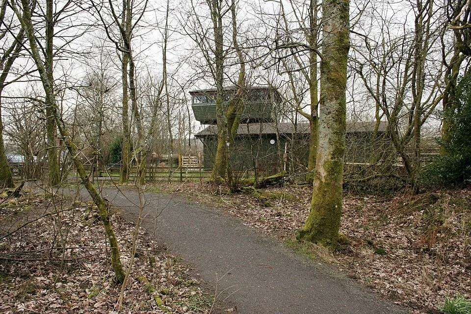 A woodland path and viewing structure at RSPB Lochwinnoch