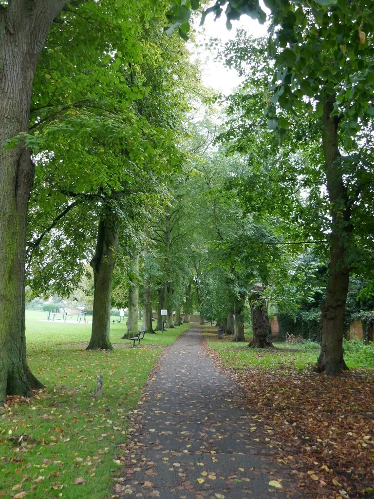 Tree-lined avenue in Southwell War Memorial Recreation Ground