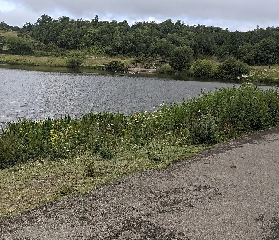 Garn Lakes near Blaenavon