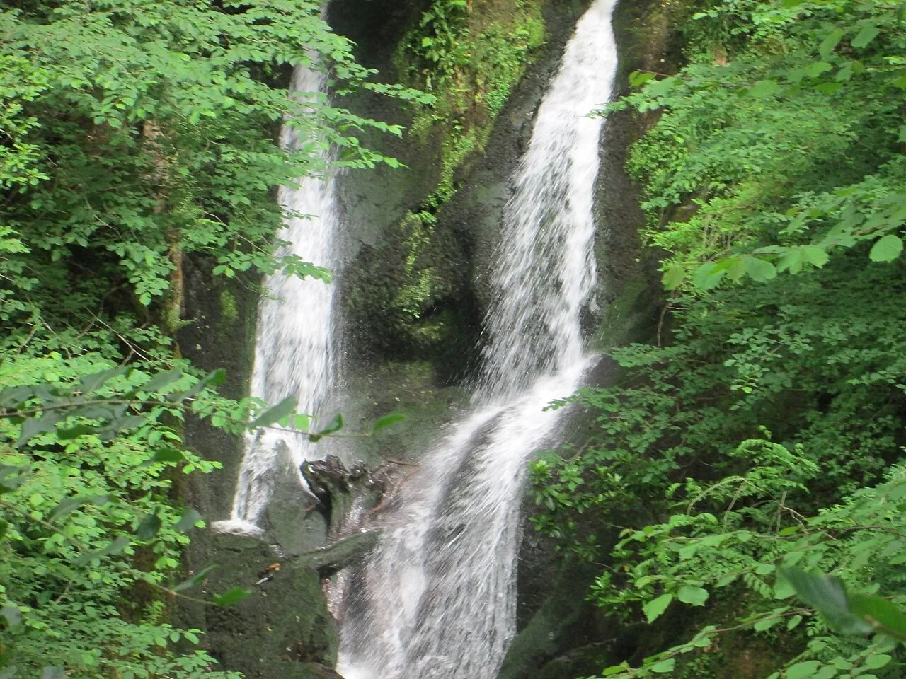 Stock Ghyll Force falling between rocks and green woodland