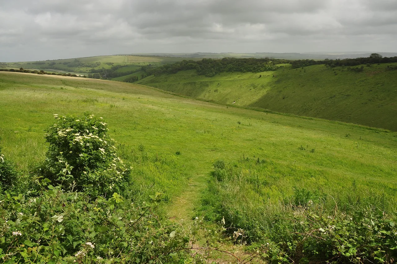 Grass-covered slopes around the dry valley at Devil’s Dyke