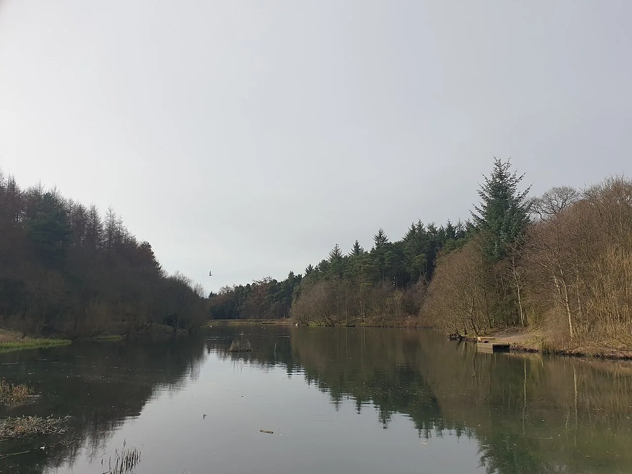 Eliburn Reservoir in Livingston