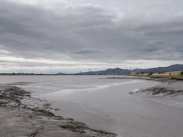 Landscape at the confluence of the Black Devon and Forth beside the wetlands