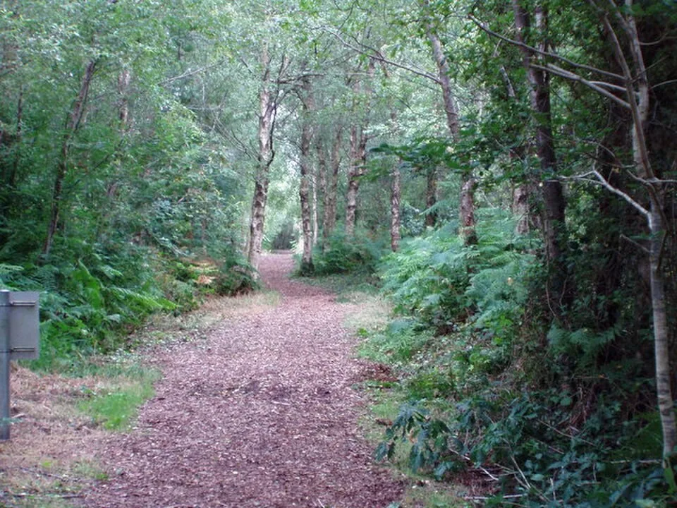 Peatlands Park in County Armagh
