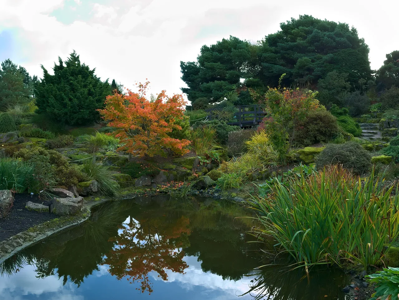 A pond, planting and small bridge at the Royal Botanic Garden Edinburgh