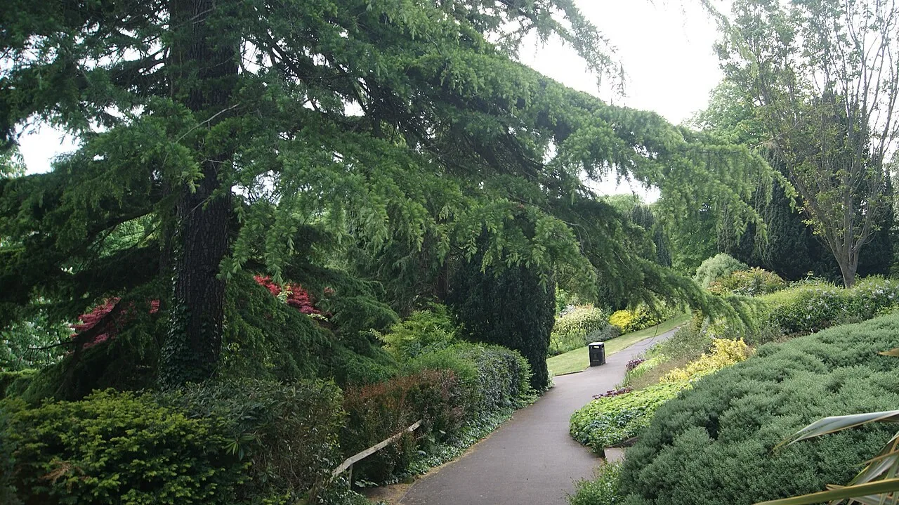 Winding path among trees and planted slopes in Bebra Gardens