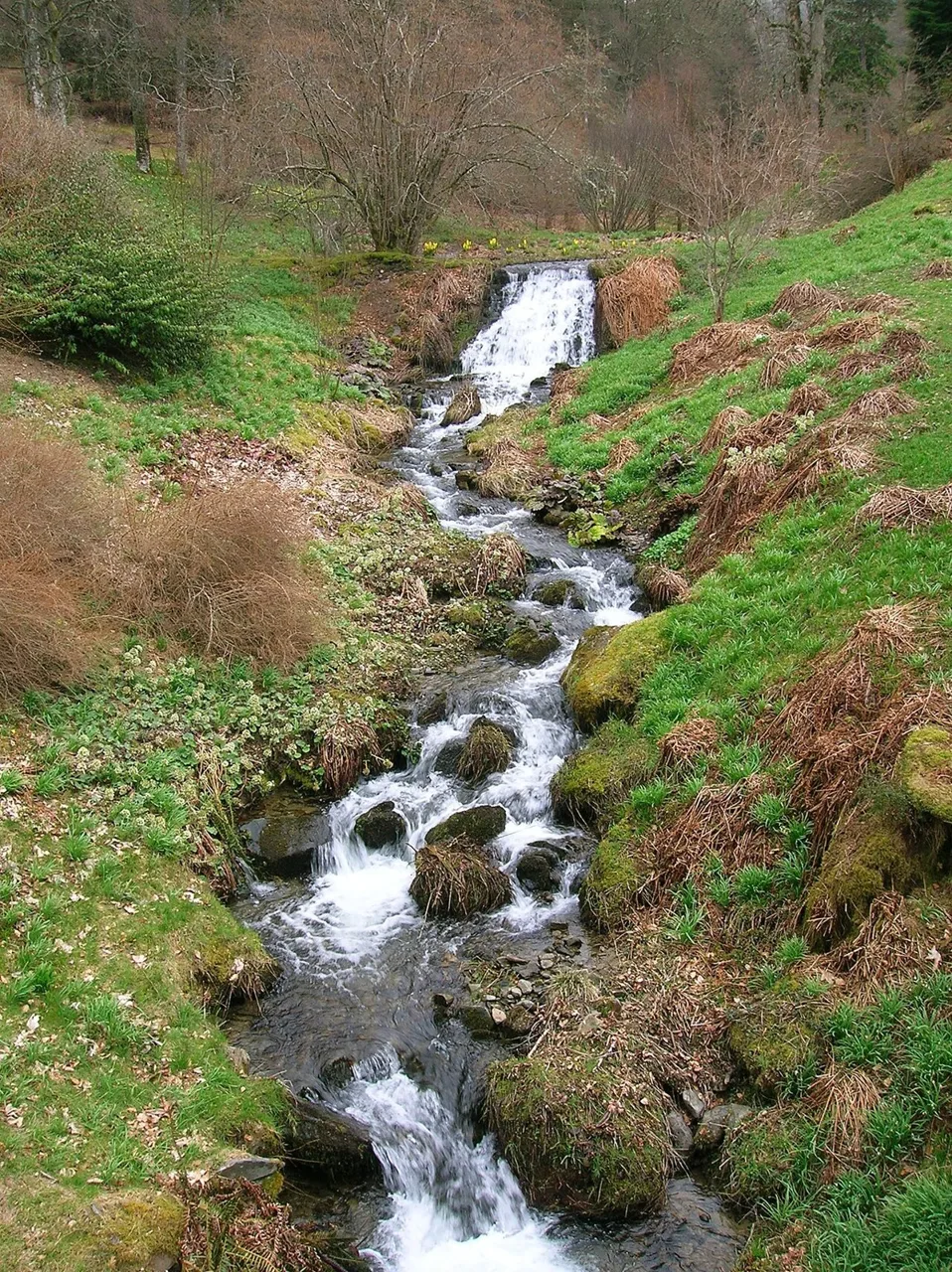 Dawyck Botanic Garden near Stobo