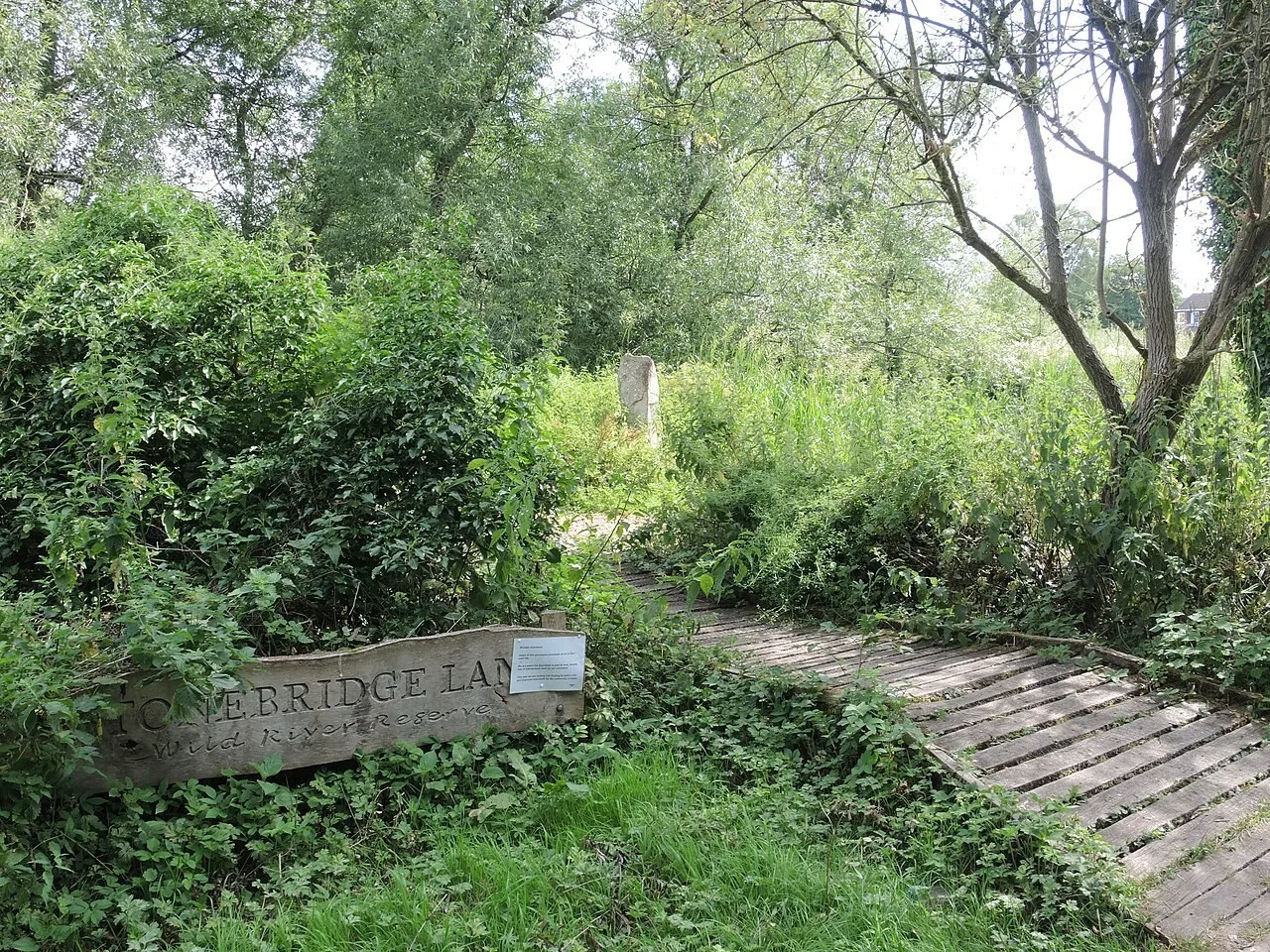 Stonebridge nature reserve beside Marlborough