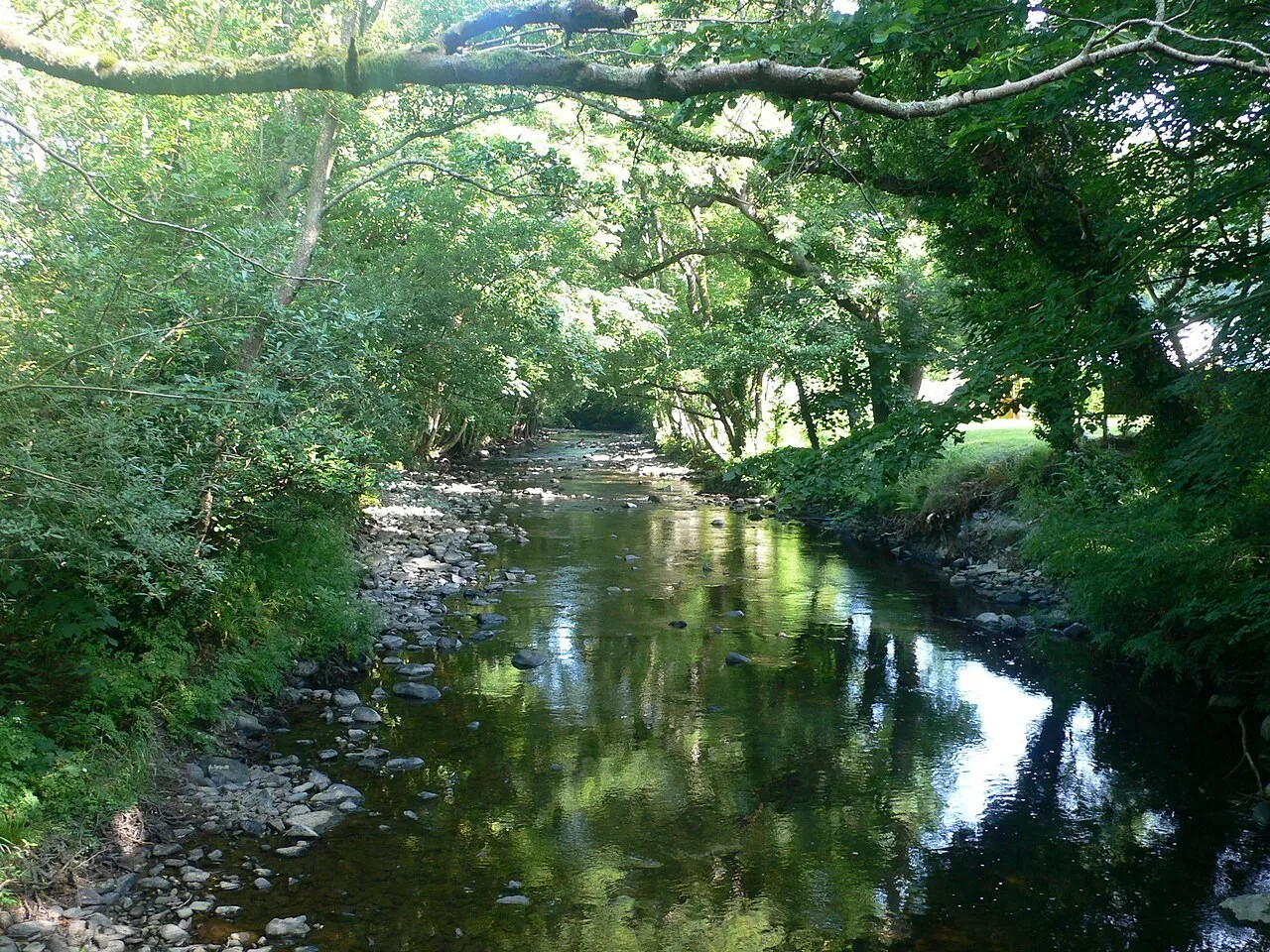 The River Aeron in the wooded valley inland from Aberaeron