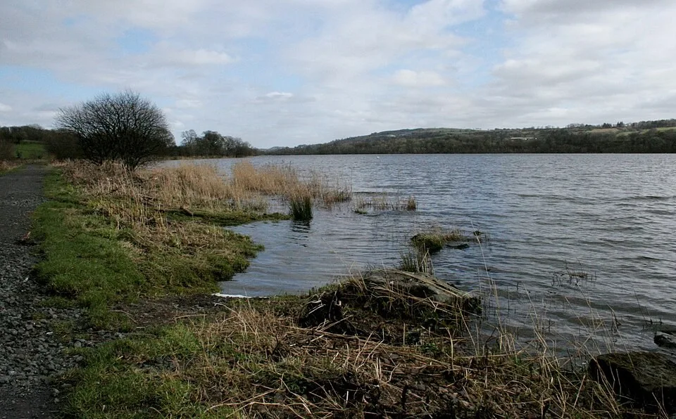 The shore of Castle Semple Loch at Lochwinnoch
