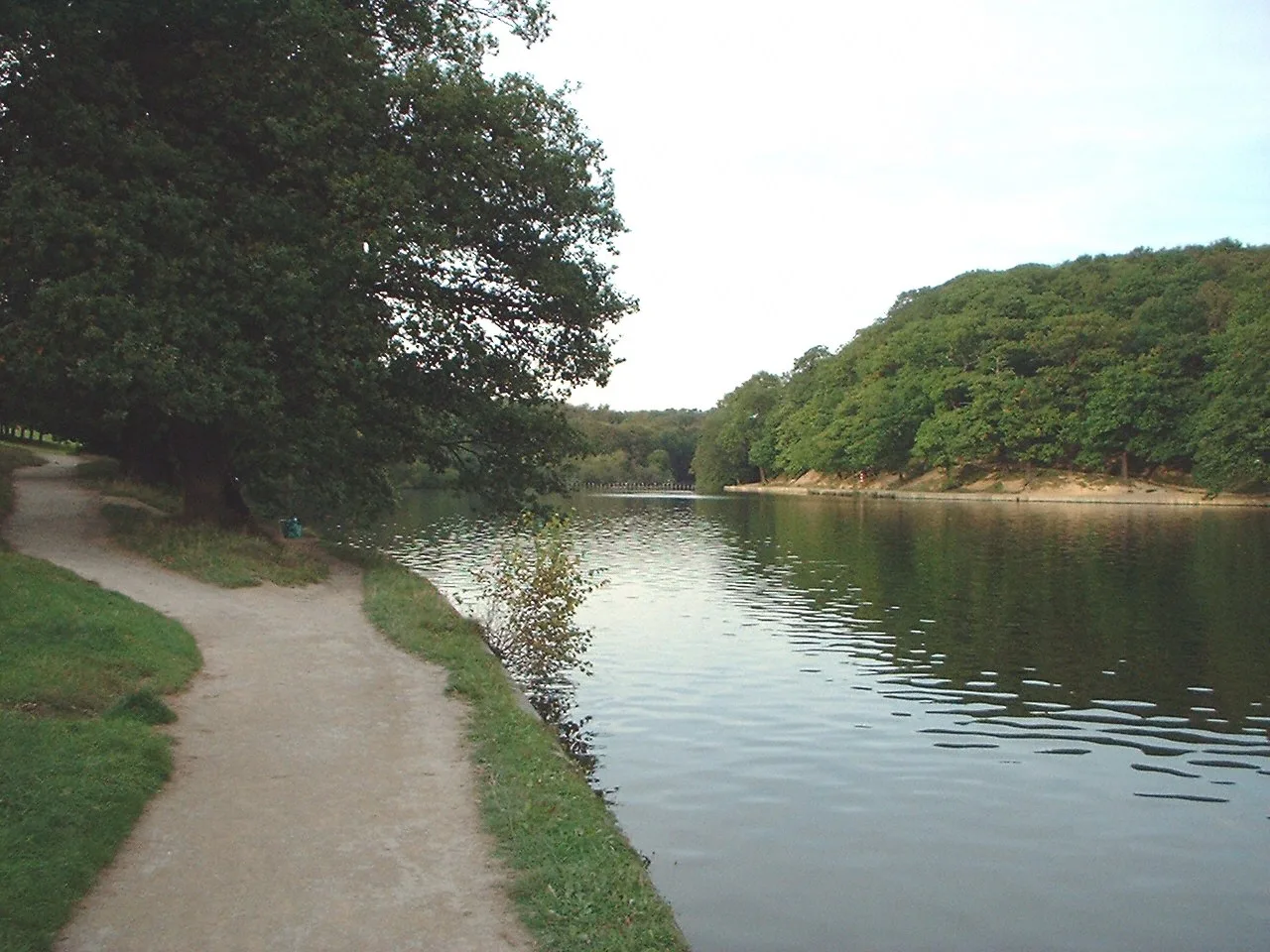 Path and tree-lined water at Roundhay Park’s Waterloo Lake