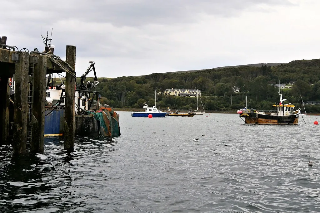 Boats and working pier at Portree Harbour, the departure setting for wildlife cruises