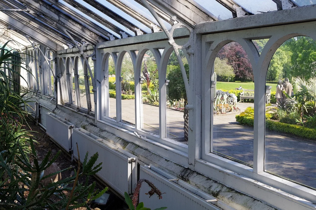 An arched glasshouse window looking onto planting at Birmingham Botanical Gardens
