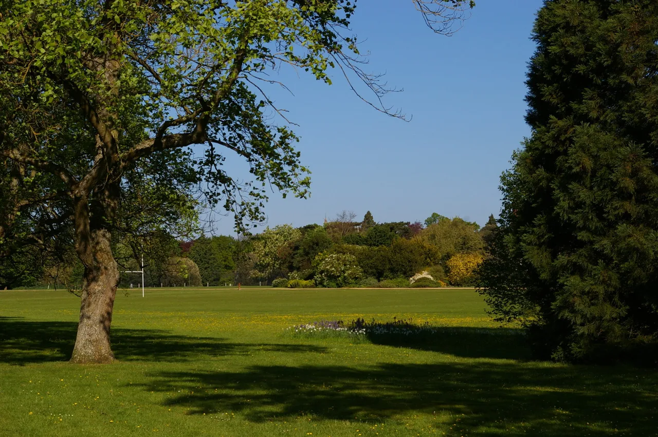 Open grass and spring trees in Oxford University Parks
