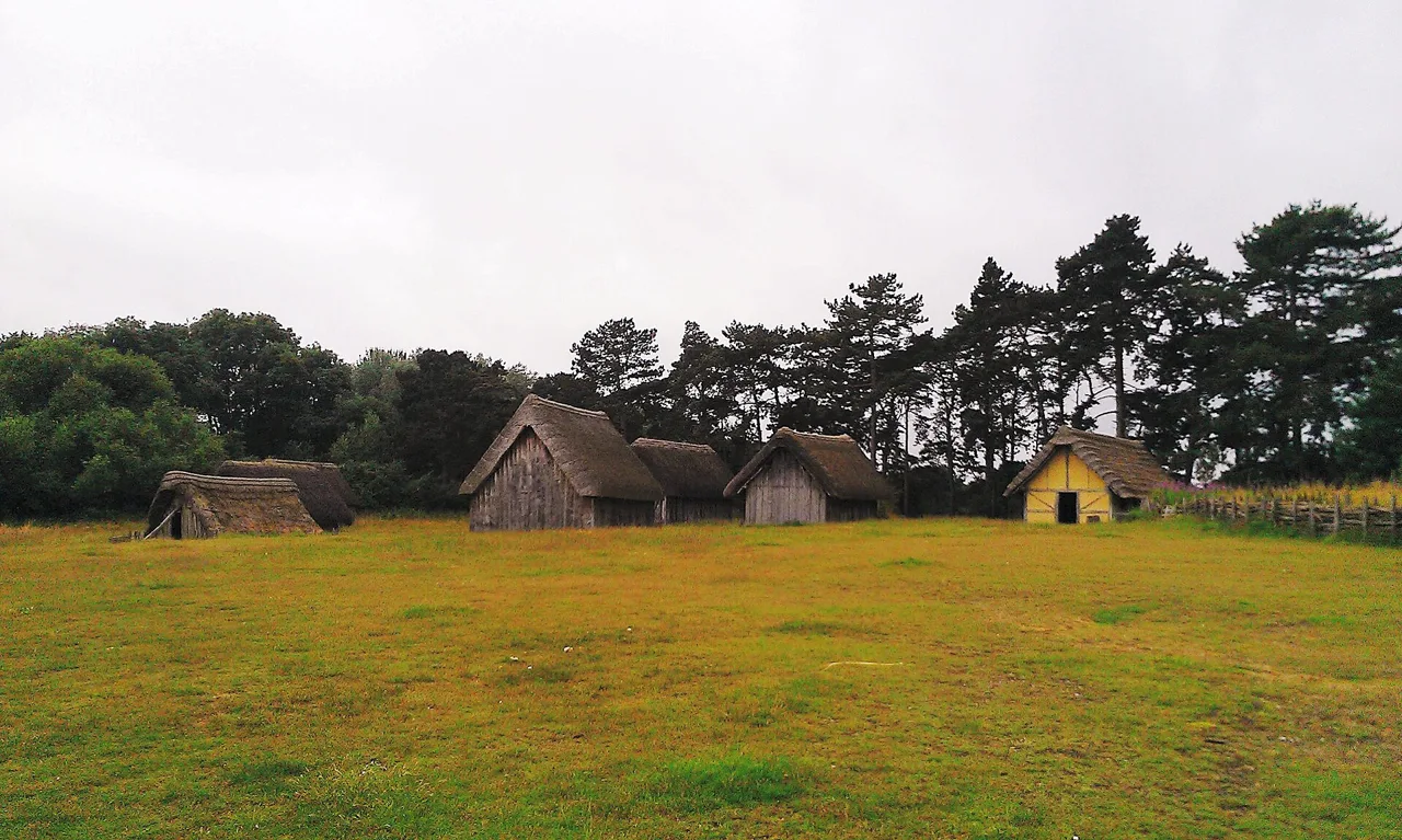 Reconstructed timber and thatched buildings at West Stow Anglo-Saxon Village
