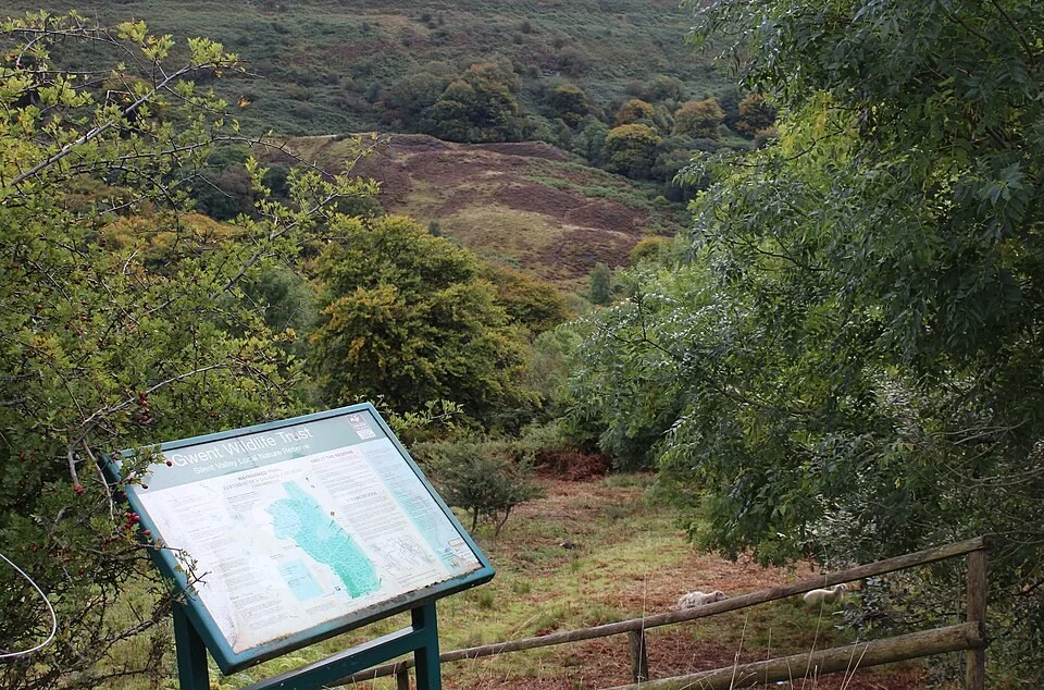 Woodland at Silent Valley Nature Reserve near Cwm