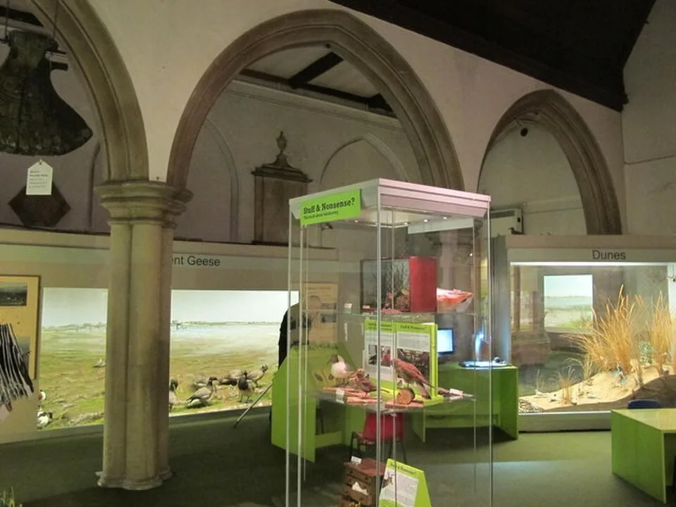 Displays inside Colchester Natural History Museum