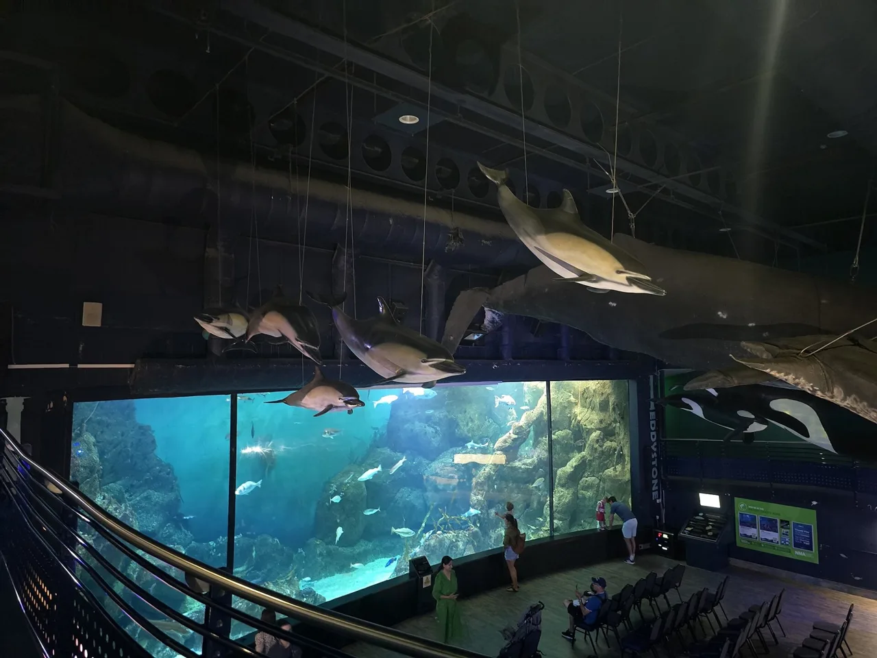 A large illuminated habitat viewed from the gallery inside Plymouth’s National Marine Aquarium