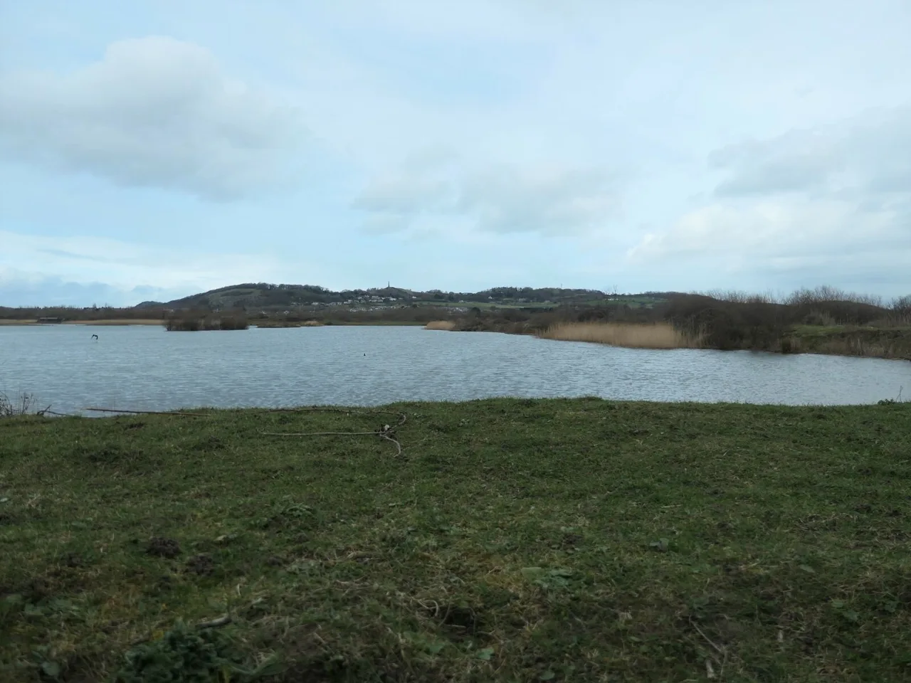 The eastern lagoon at RSPB Conwy Nature Reserve