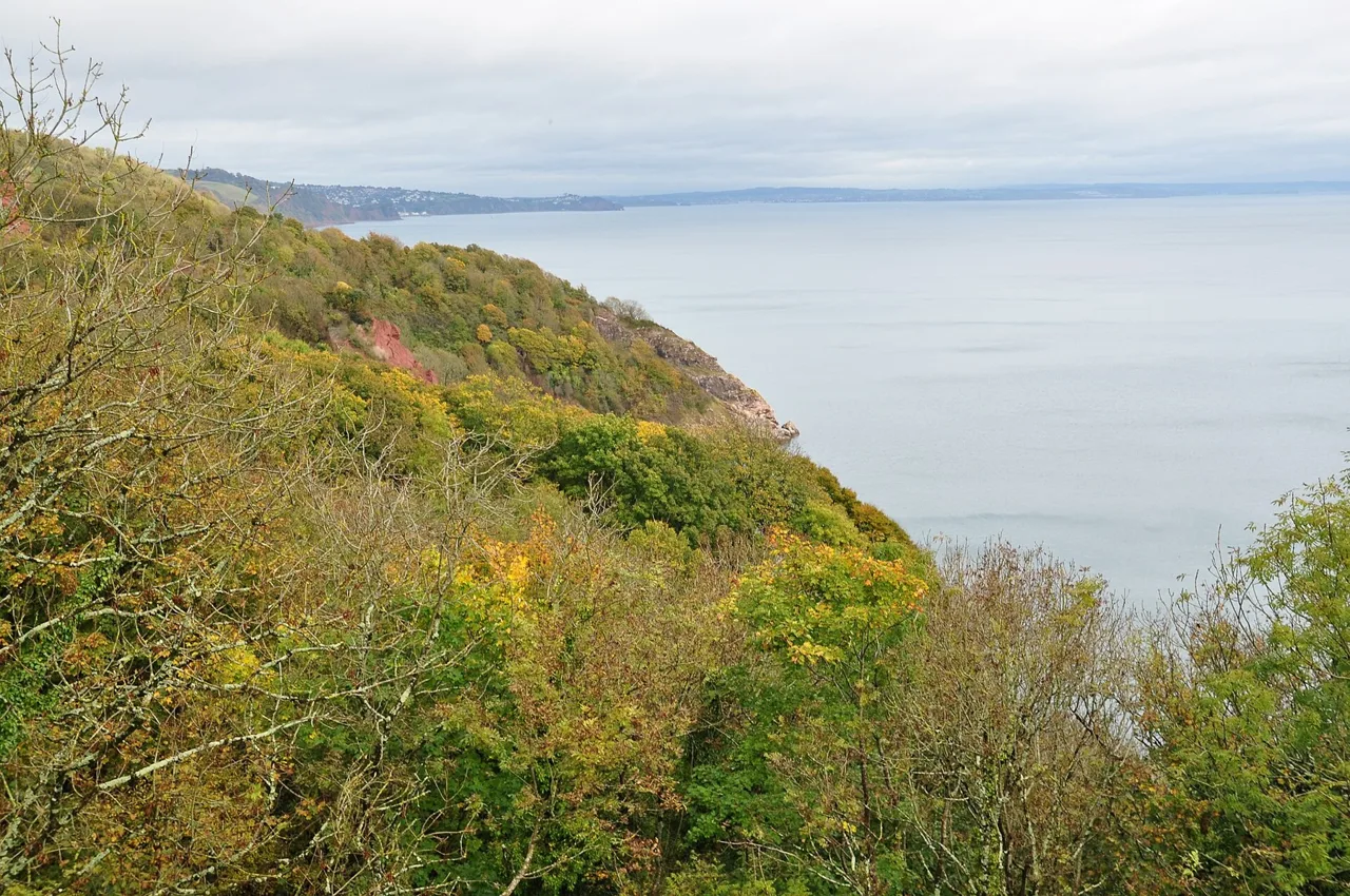 Coastal view from Babbacombe Downs
