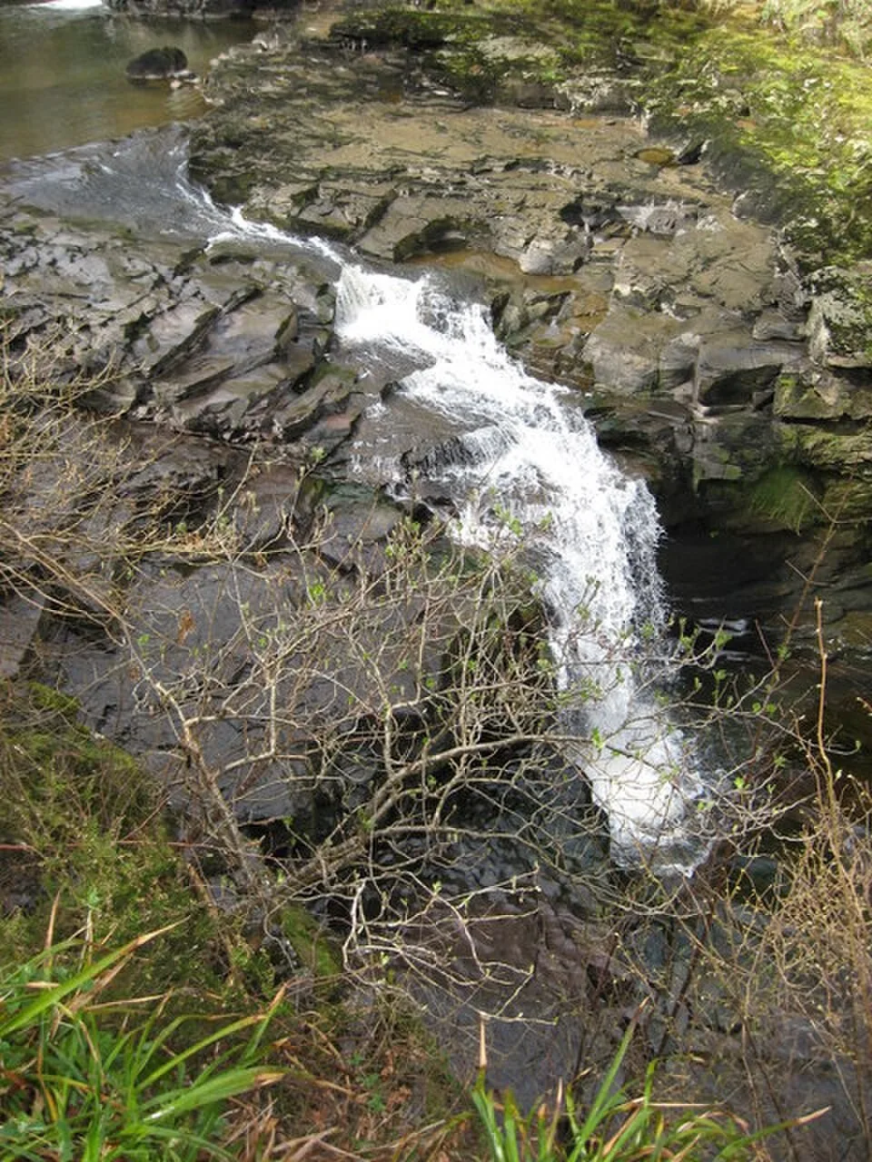 A waterfall in the Falls of Clyde reserve near New Lanark