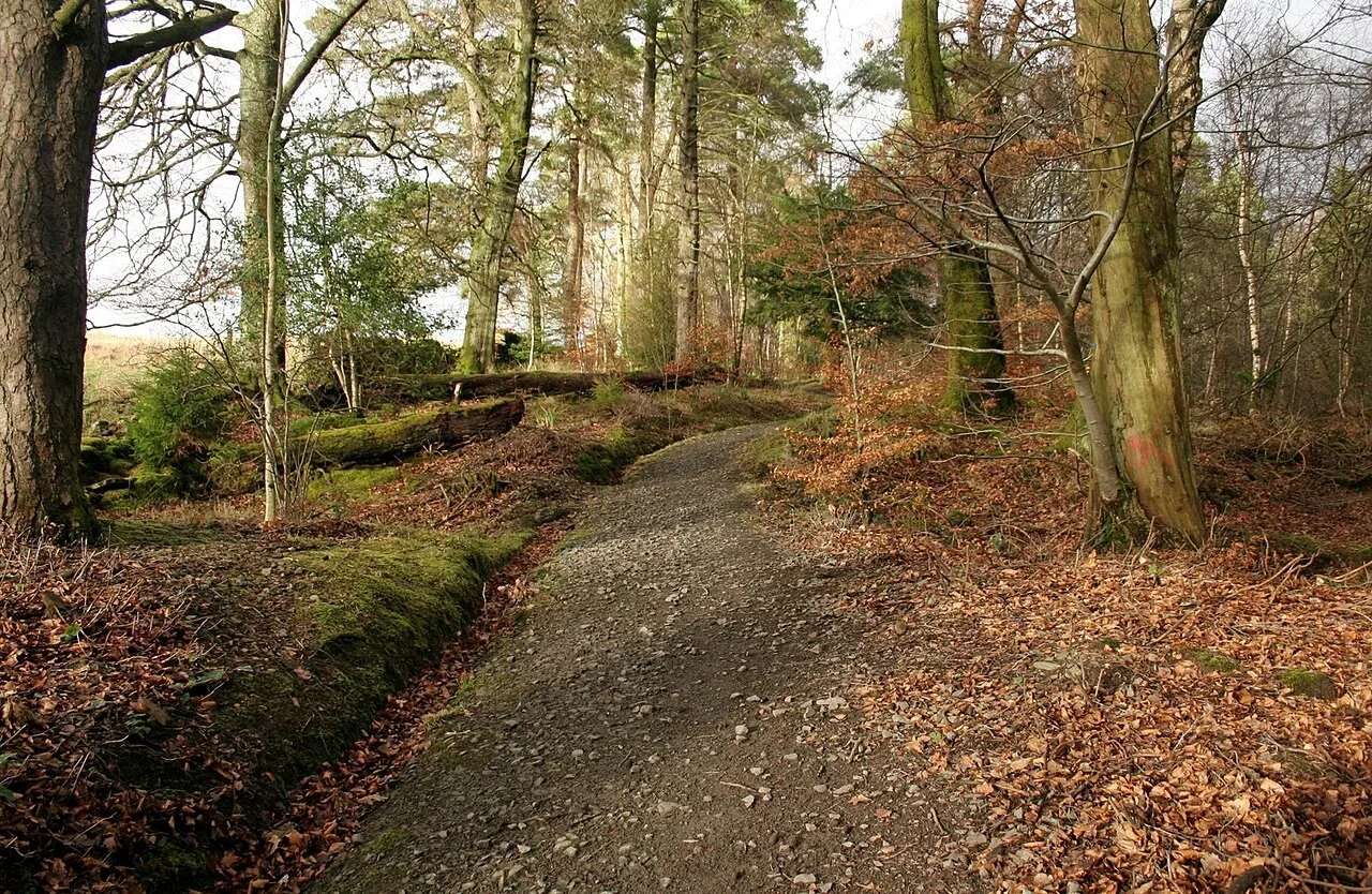Woodland path on the Overtoun estate near Dumbarton