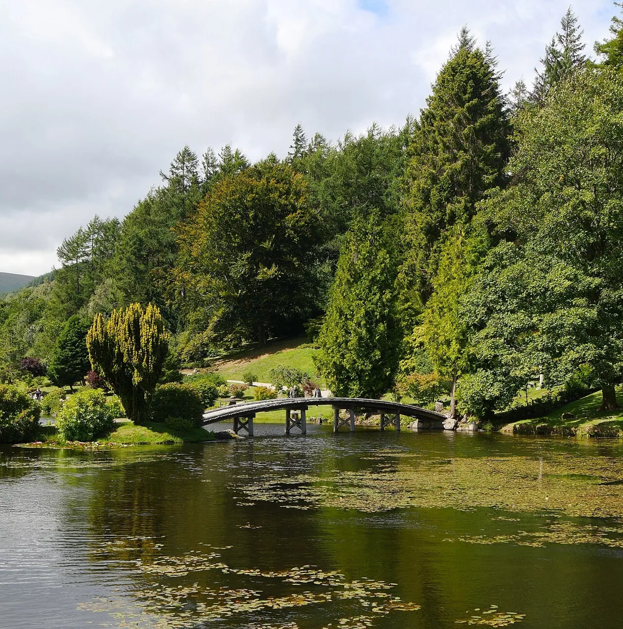 Lake in the Japanese Garden at Cowden near Muckhart