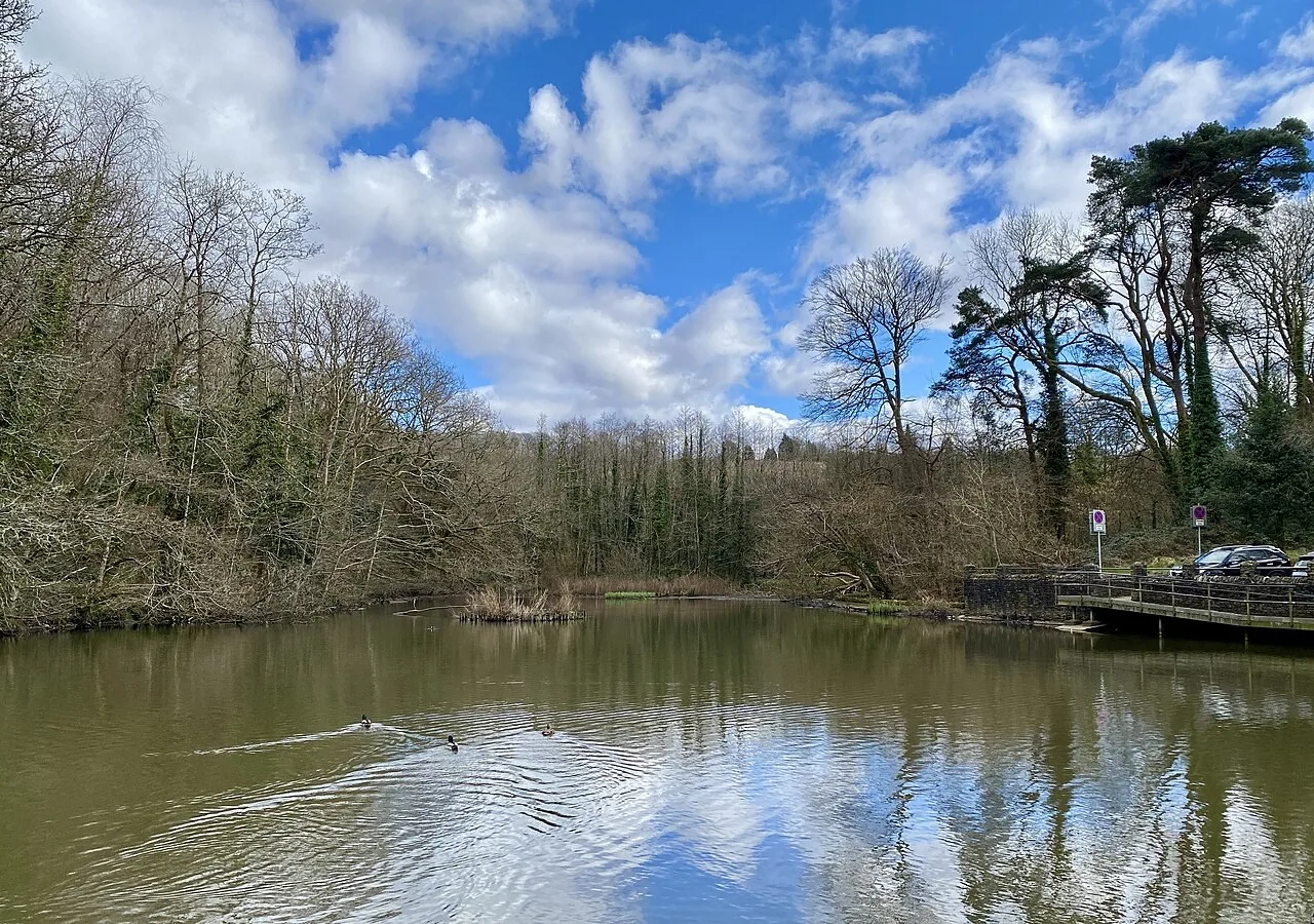 The lake at Gnoll Country Park