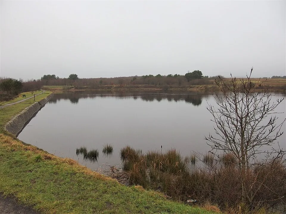 Beaufort Hill ponds near Ebbw Vale