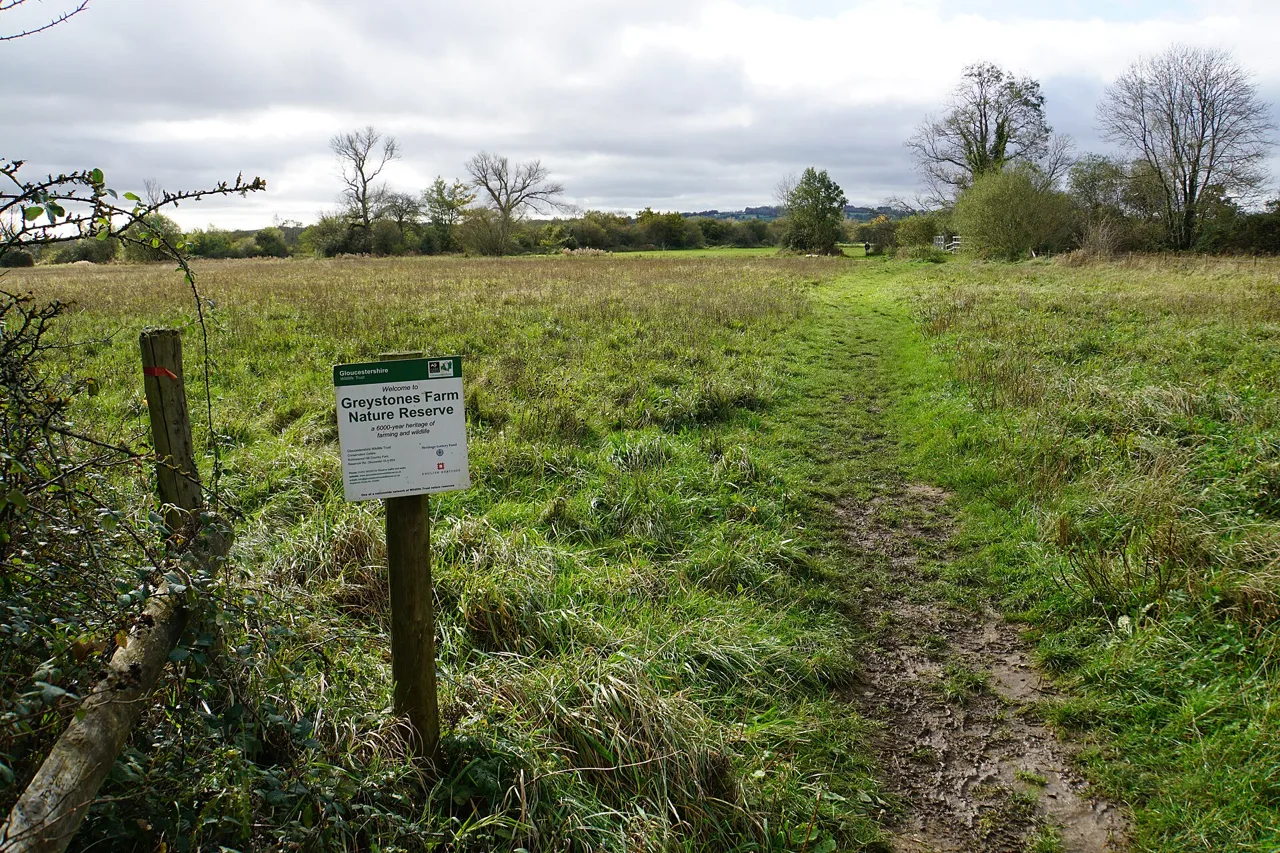 Path at Greystones Farm Nature Reserve