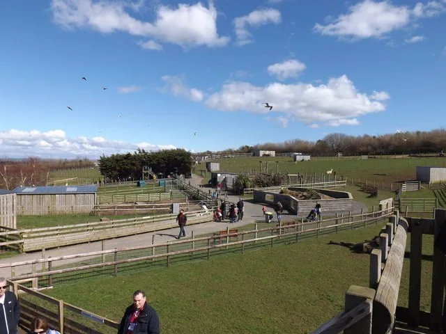 Heads of Ayr Farm Park
