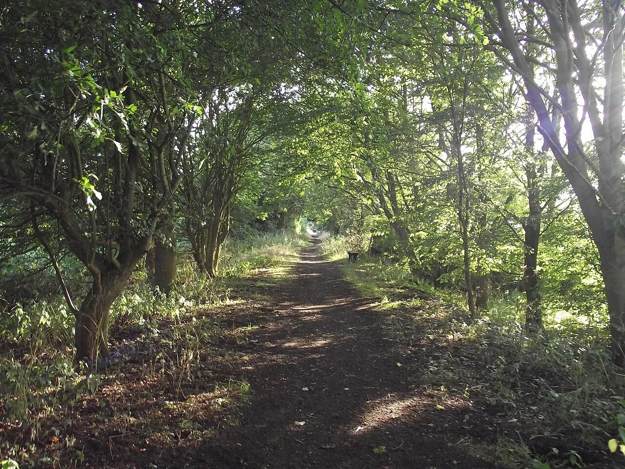 Old railway walking path near Lavenham