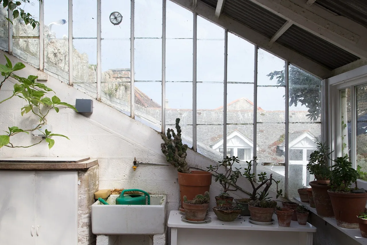 Plant-filled conservatory at the Barbara Hepworth Museum in St Ives