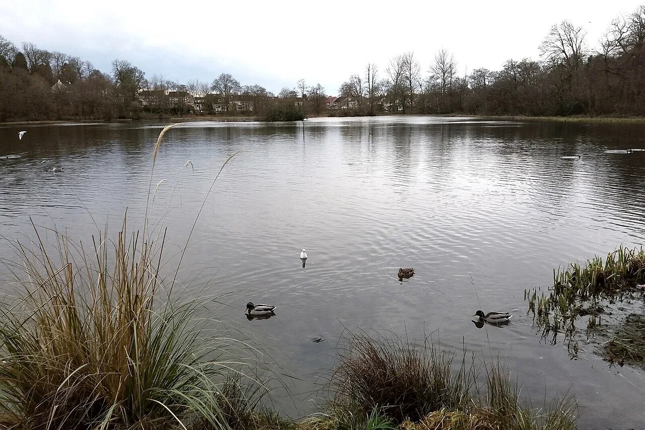 Kilmardinny Loch in Bearsden