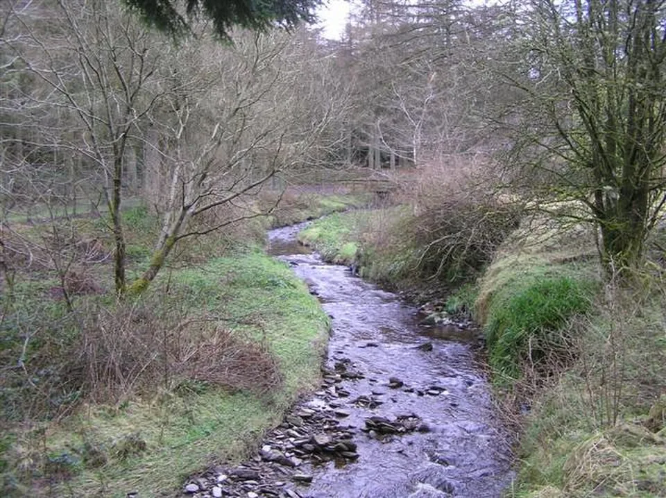 Woodland landscape at Gortin Glen Forest Park