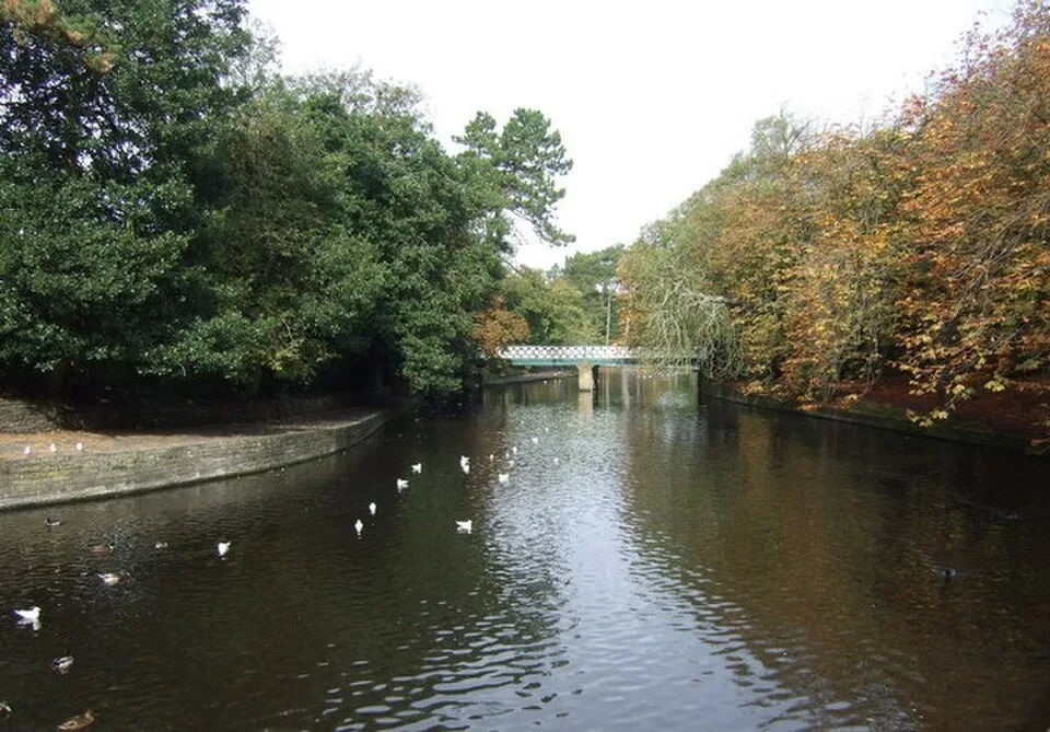 The lake in Churchtown Botanic Gardens