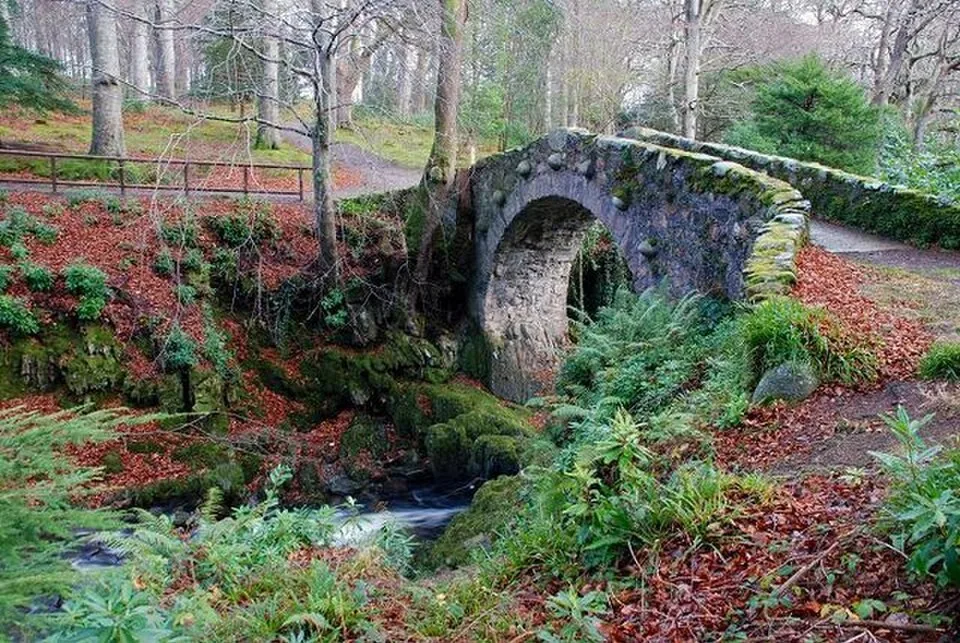 Woodland and river scenery in Tollymore Forest Park