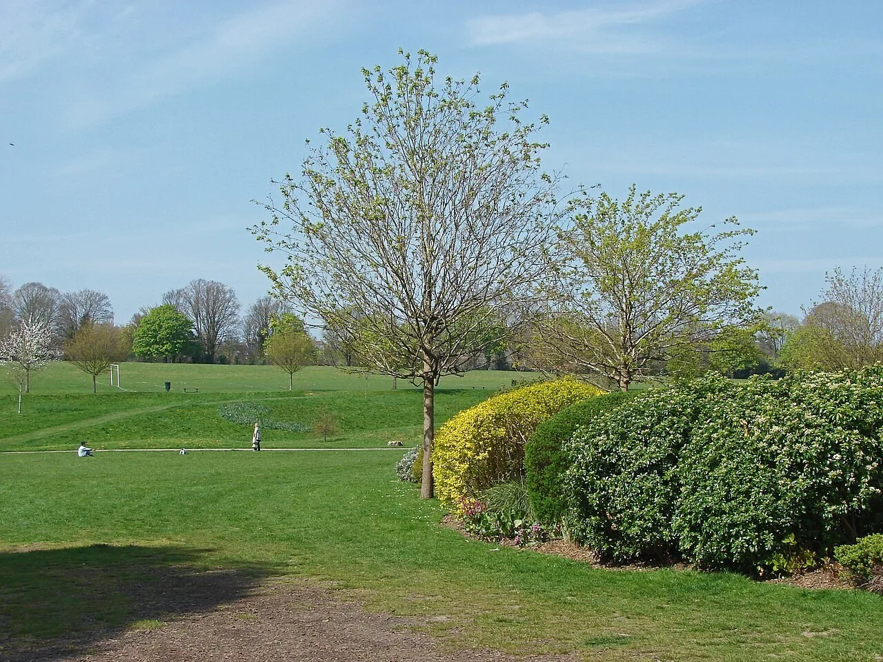 Meadowbank Recreation Ground in Dorking