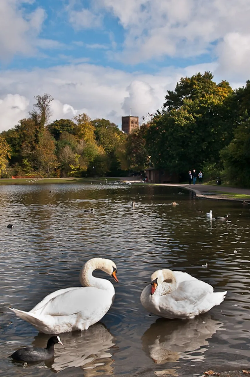 The lake in Verulamium Park, St Albans