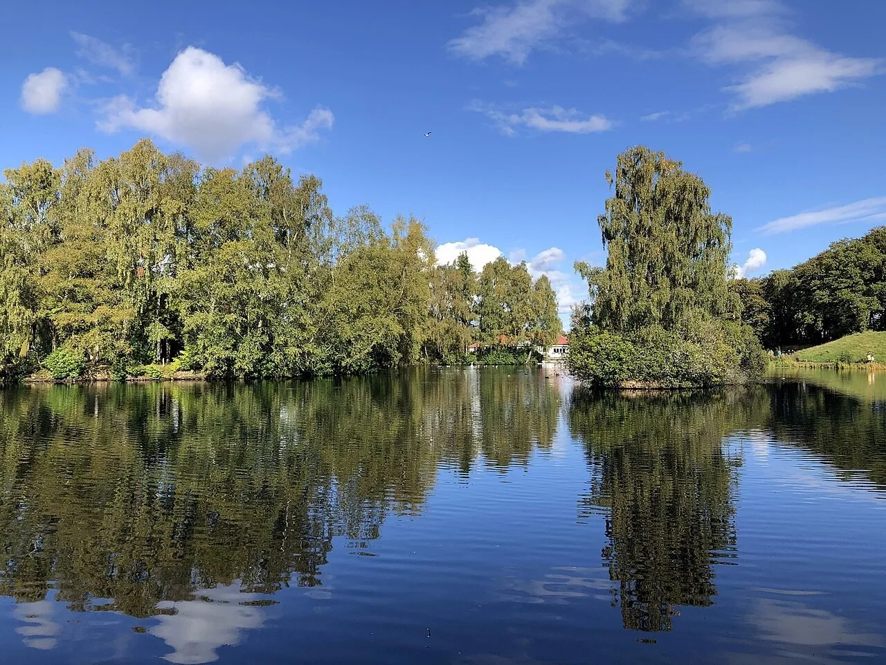Pond and parkland at Rouken Glen Park
