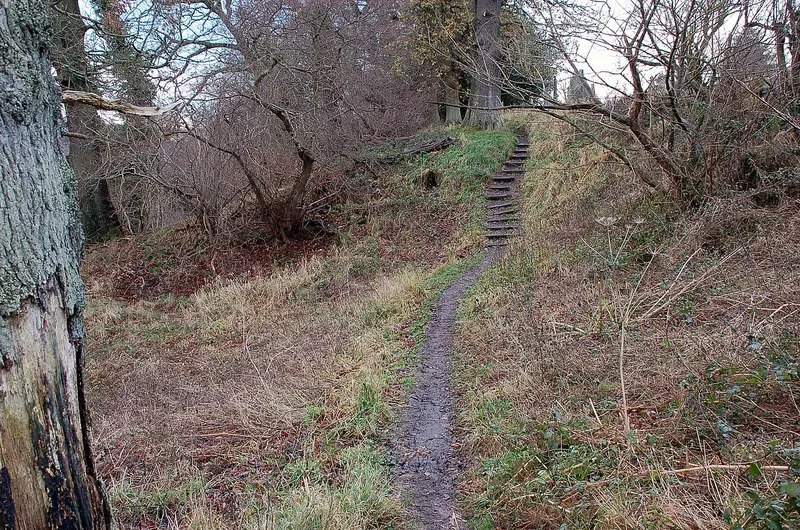 Woodland footpath and steps above Roslin Glen