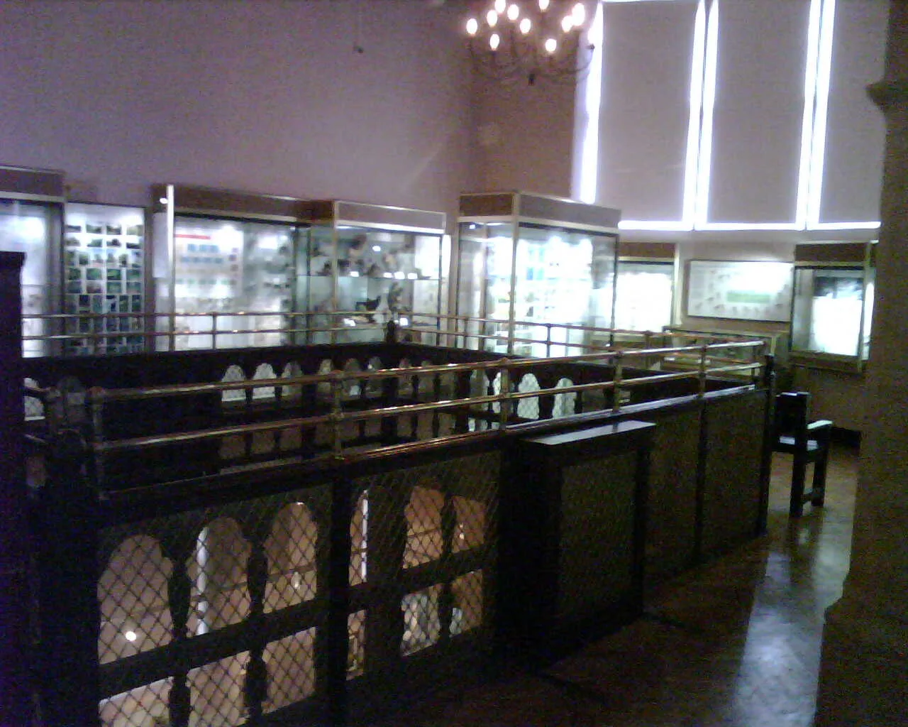 Display cases around the upper gallery of Eton Natural History Museum