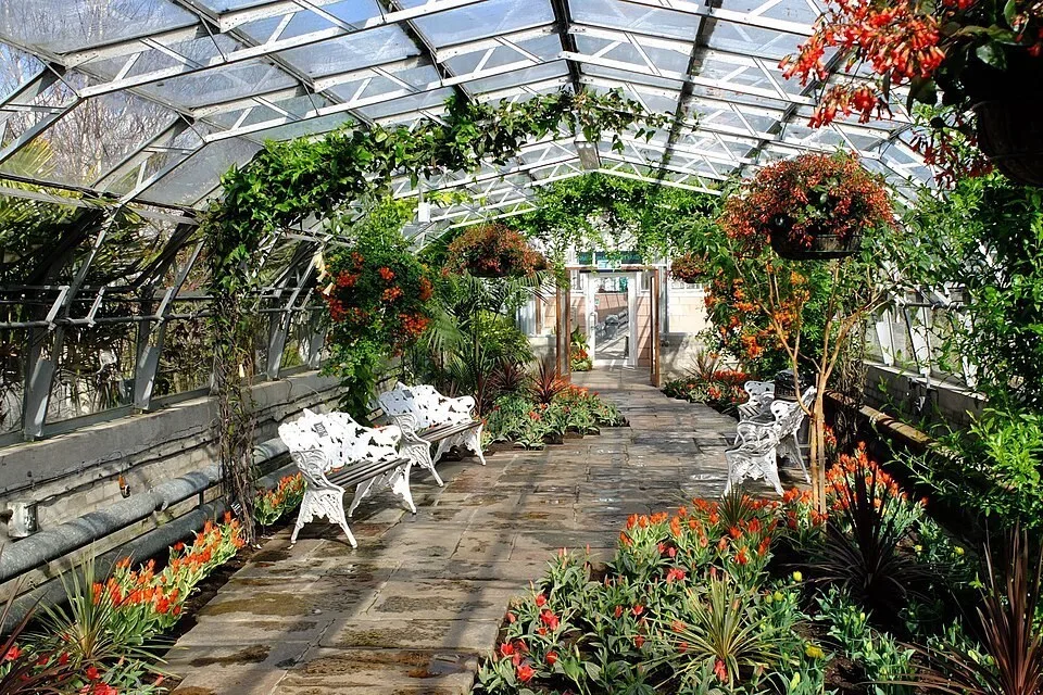 Plants inside the Winter Gardens at Duthie Park