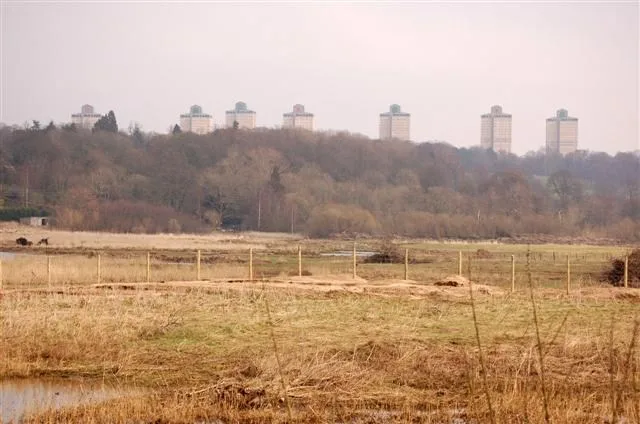 Wetland landscape at Barons Haugh nature reserve