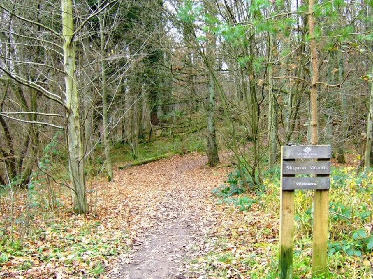 Leaf-strewn woodland path beside trees and a Skipton Woods welcome sign