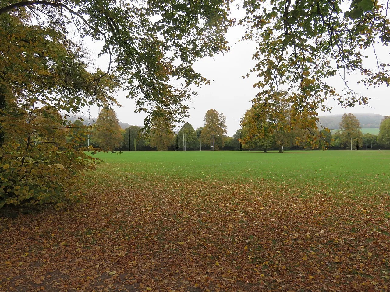 Open green space and trees at Chippenham Fields in Monmouth