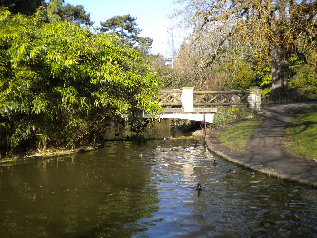 A footbridge and waterside planting in Royal Victoria Park, Bath