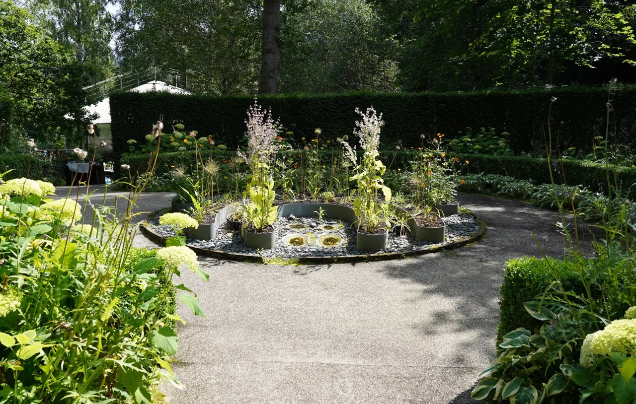 Paths and planting in the Lowland Garden at Explorers Garden