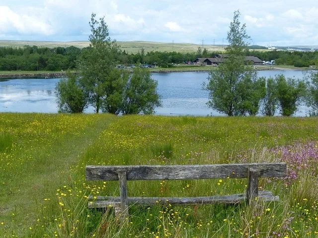 Lake and surrounding park at Parc Bryn Bach, Tredegar